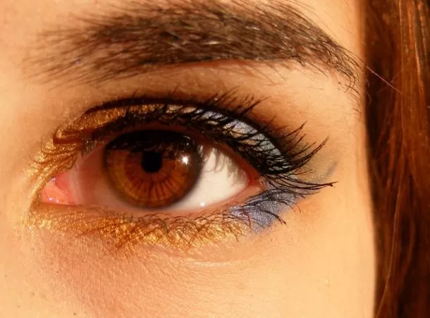 brown-brown-eyes-iris-gene-46279-610x451